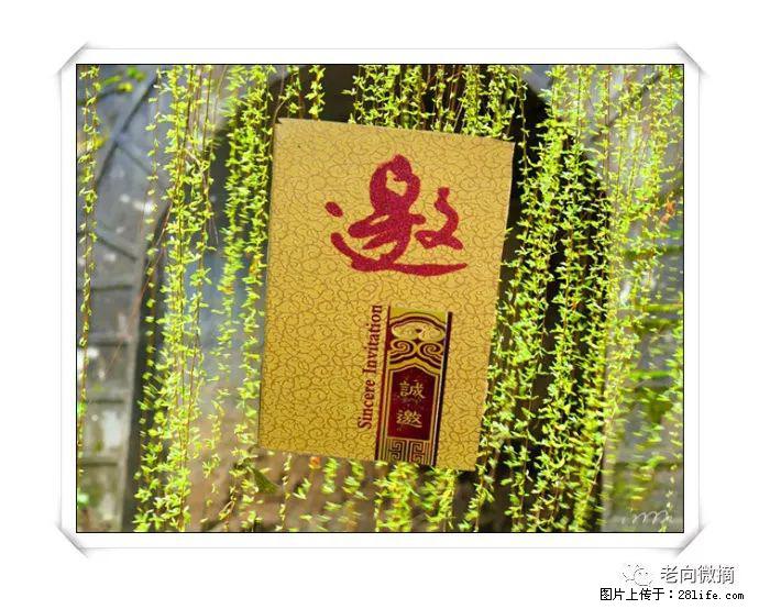 【春天，广西桂林灌阳县向您发出邀请！】开篇 - 游山玩水 - 东莞生活社区 - 东莞28生活网 dg.28life.com