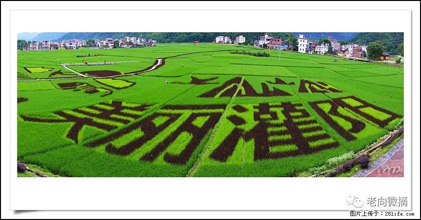 【春天，广西桂林灌阳县向您发出邀请！】开篇 - 游山玩水 - 东莞生活社区 - 东莞28生活网 dg.28life.com