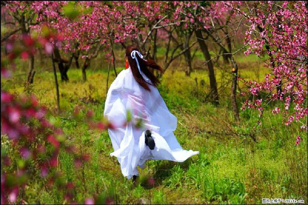 【春天，广西桂林灌阳县向您发出邀请！】官庄村有个醉美的桃花园 - 游山玩水 - 东莞生活社区 - 东莞28生活网 dg.28life.com