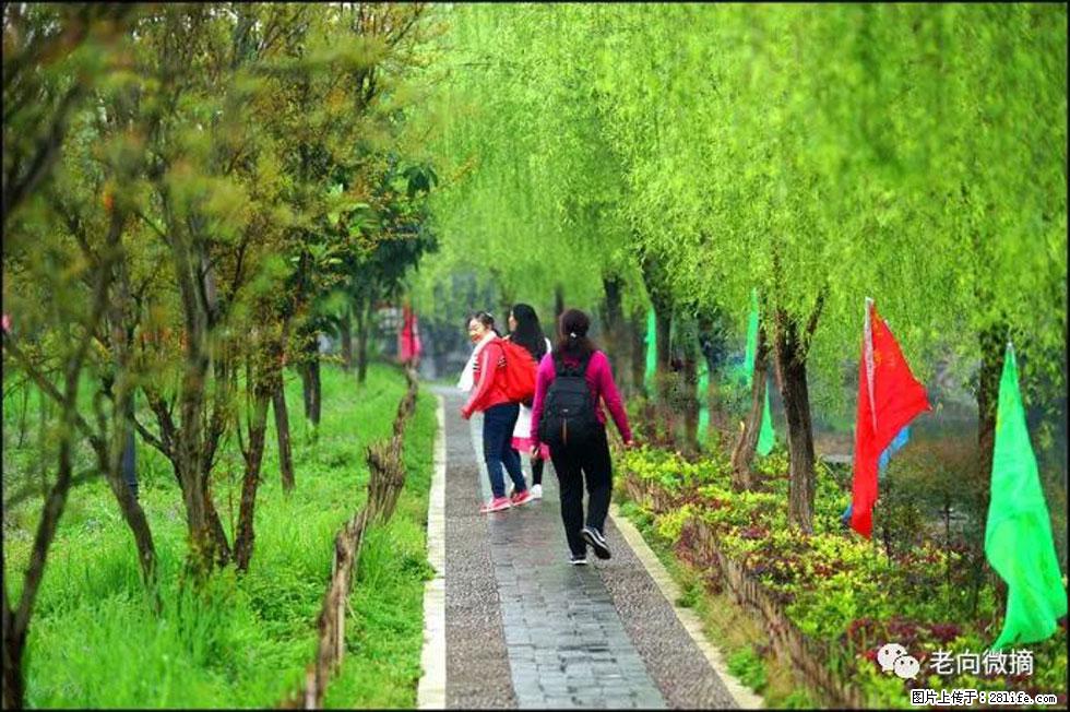 【春天，广西桂林灌阳县向您发出邀请！】江口老街又逢春 - 游山玩水 - 东莞生活社区 - 东莞28生活网 dg.28life.com