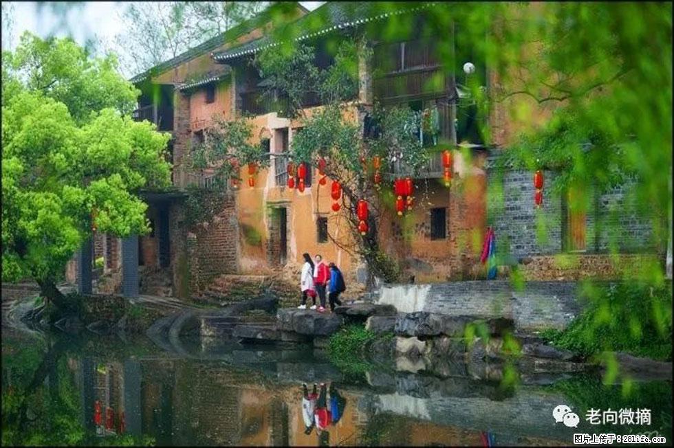【春天，广西桂林灌阳县向您发出邀请！】江口老街又逢春 - 游山玩水 - 东莞生活社区 - 东莞28生活网 dg.28life.com