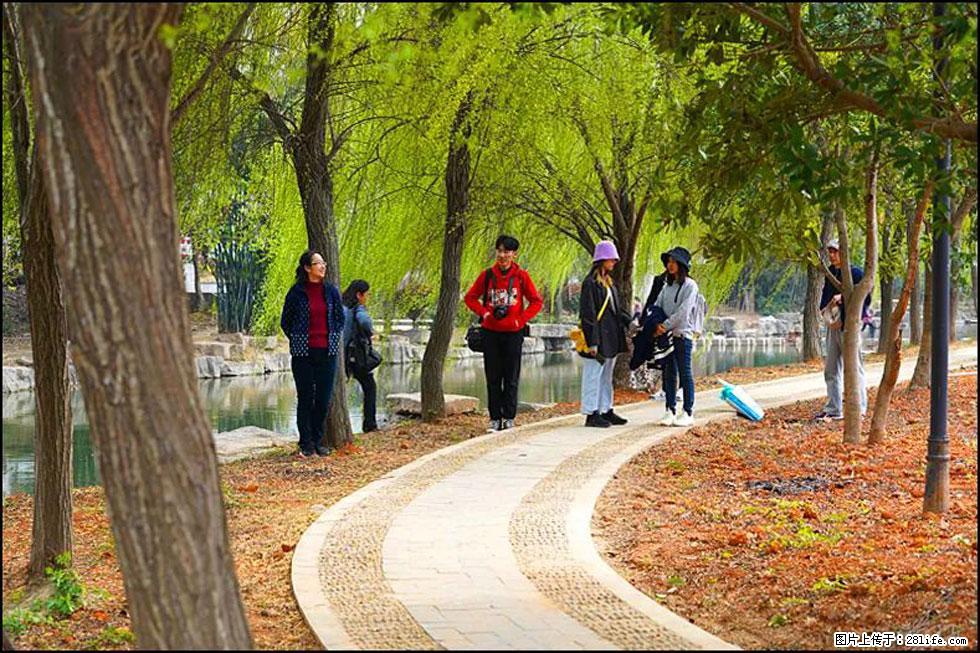 【春天，广西桂林灌阳县向您发出邀请！】江口老街又逢春 - 游山玩水 - 东莞生活社区 - 东莞28生活网 dg.28life.com