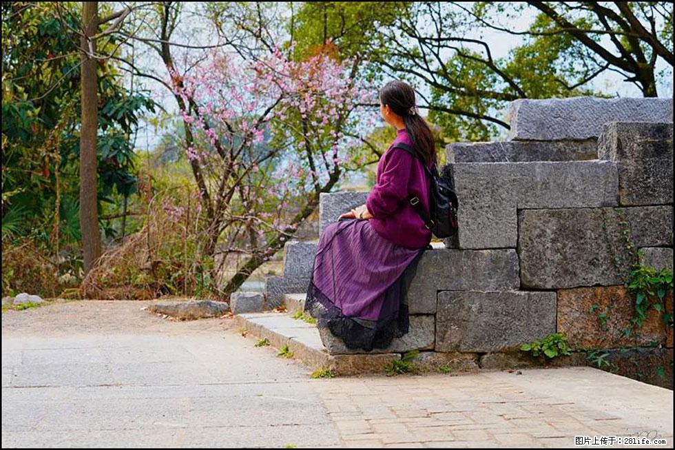 【春天，广西桂林灌阳县向您发出邀请！】江口老街又逢春 - 游山玩水 - 东莞生活社区 - 东莞28生活网 dg.28life.com