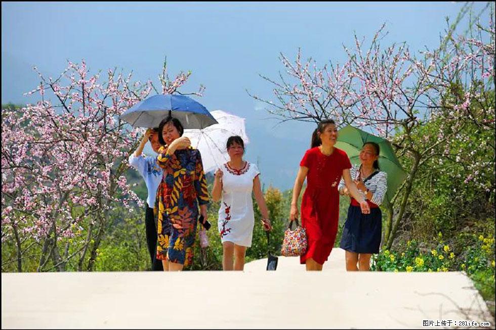 【春天，广西桂林灌阳县向您发出邀请！】望月岭上桃花开 - 游山玩水 - 东莞生活社区 - 东莞28生活网 dg.28life.com