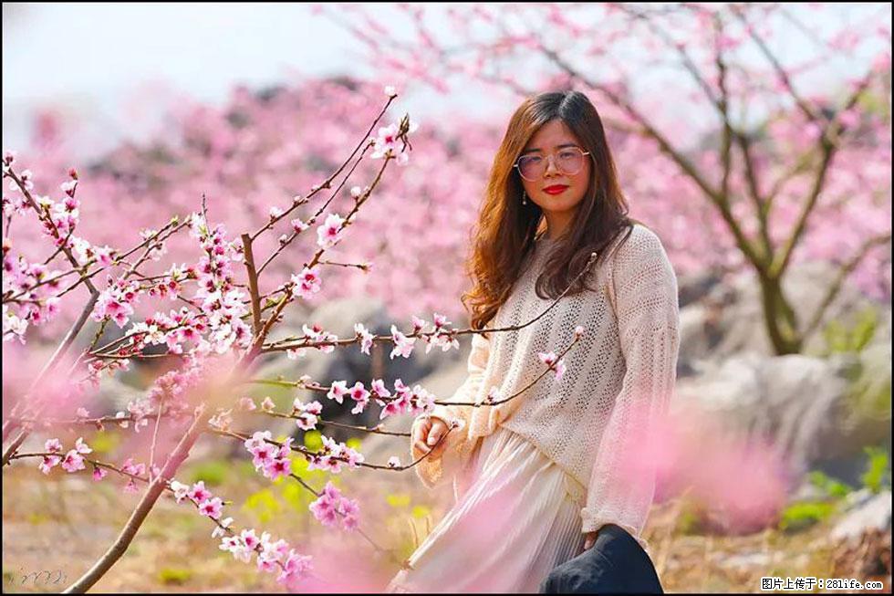 【春天，广西桂林灌阳县向您发出邀请！】望月岭上桃花开 - 游山玩水 - 东莞生活社区 - 东莞28生活网 dg.28life.com