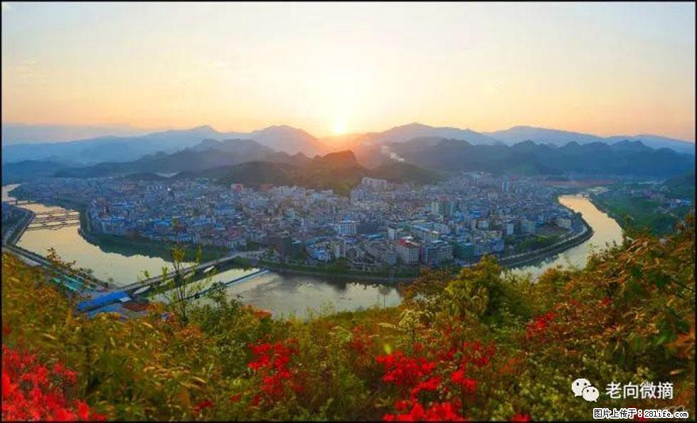 【春天，广西桂林灌阳县向您发出邀请！】登麒麟山，相约映山红 - 游山玩水 - 东莞生活社区 - 东莞28生活网 dg.28life.com