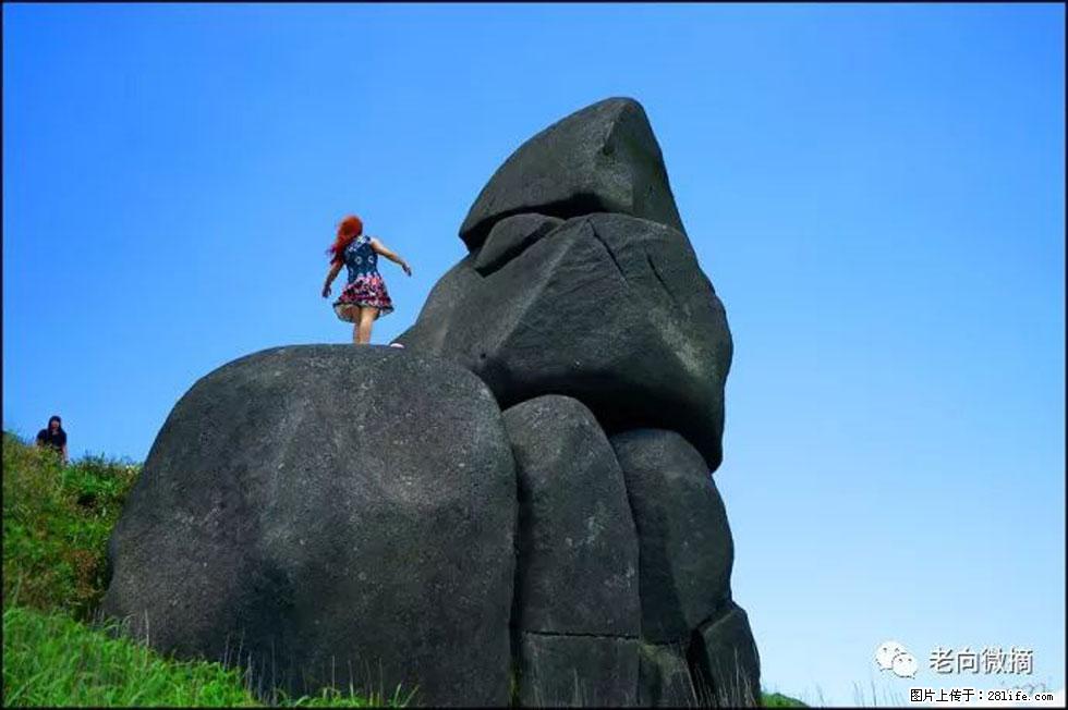 【春天，广西桂林灌阳县向您发出邀请！】宝盖山上映山红 - 游山玩水 - 东莞生活社区 - 东莞28生活网 dg.28life.com