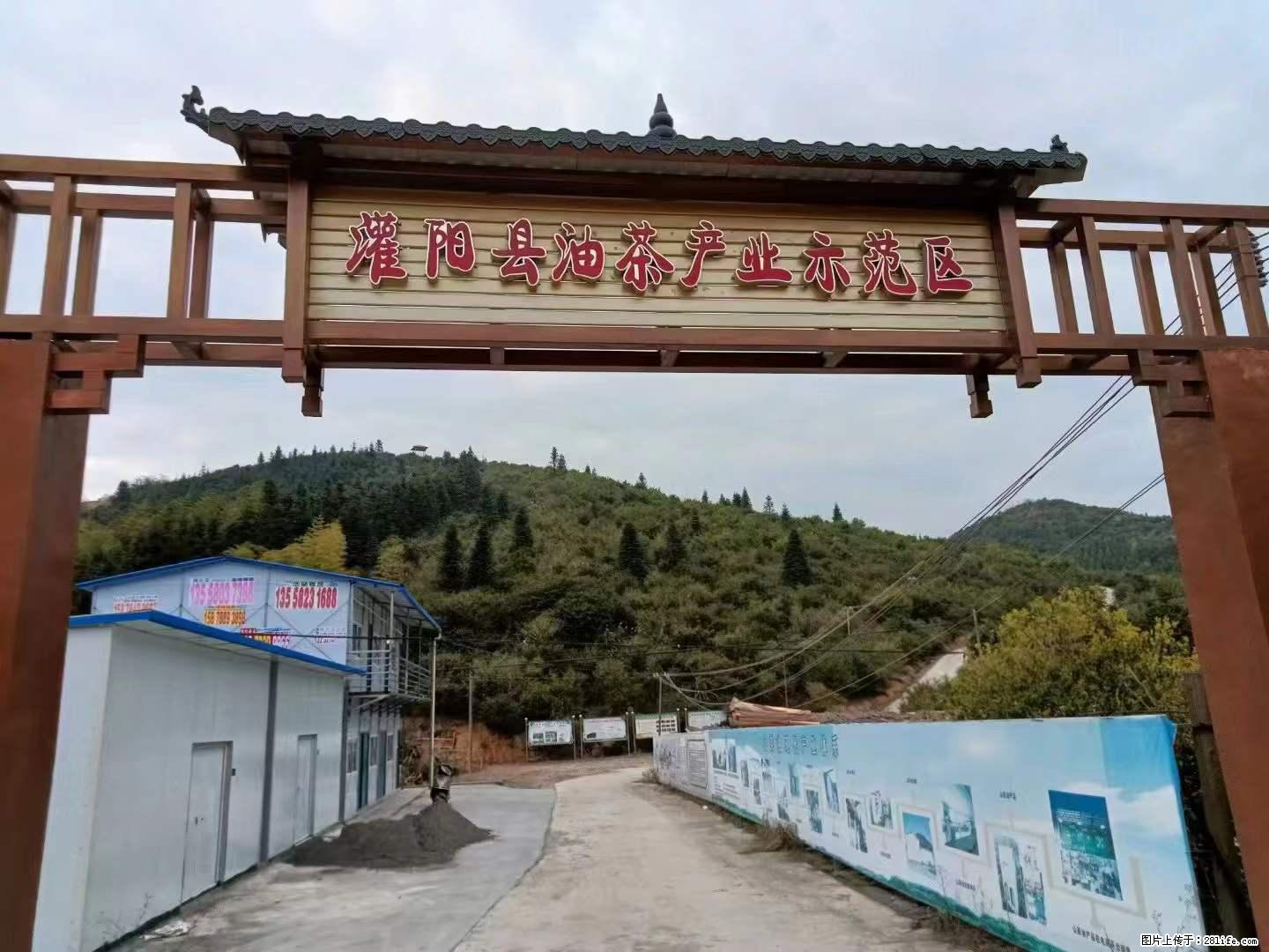 【灌阳县油茶产业示范区】一个有着充实的精神生活的人，对待身外之物自会有一种淡泊的态度 - 土特产 - 饮食特产 - 东莞分类信息 - 东莞28生活网 dg.28life.com