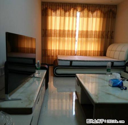 贝悦湾公寓出租 干净整洁拎包入住 - 房屋出租 - 房屋租售 - 东莞分类信息 - 东莞28生活网 dg.28life.com