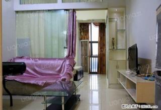 公寓精装修，交通便利配套齐全仅需1400 - 东莞28生活网 dg.28life.com