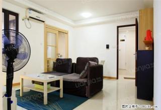 万科城3房出租 精装修朝南 房子温馨雅致有家的感觉 - 东莞28生活网 dg.28life.com