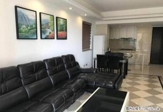 万科虹溪诺雅 真皮家私高档家电 商务住宅之选 拎包入住 安静 - 东莞28生活网 dg.28life.com