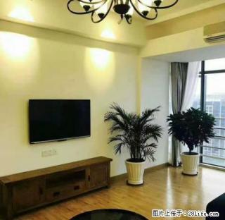 第壹国际一期 精装修 温馨舒适 购物方便 家电全 欢迎致电 - 东莞28生活网 dg.28life.com