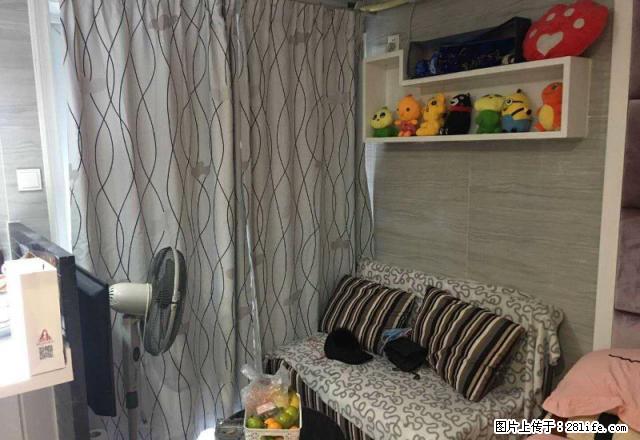 中惠丽阳时代 温馨爱情公寓非常干净 采光好 全新装修 - 房屋出租 - 房屋租售 - 东莞分类信息 - 东莞28生活网 dg.28life.com