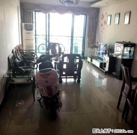 镇中心大3房出租,精装修家电齐全,价格试试,家庭的选择!!! - 房屋出租 - 房屋租售 - 东莞分类信息 - 东莞28生活网 dg.28life.com