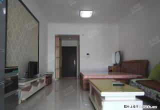 精装单房，带家私家电，装修豪华，看房方便，拎包入住，价格实惠 - 东莞28生活网 dg.28life.com