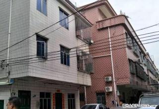 清溪浮岗新围村整栋出租 适合小工厂 - 东莞28生活网 dg.28life.com