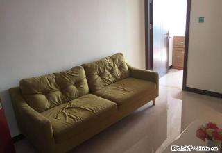 汉邦66广场一房一厅全新的 租1300 - 东莞28生活网 dg.28life.com