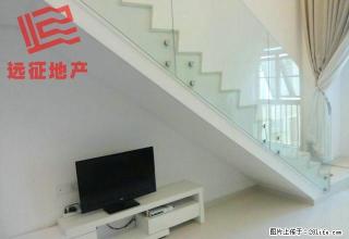 星河传说 迪纳公寓 家电全新 采光好 温馨舒适 可拎包入住 - 东莞28生活网 dg.28life.com