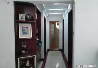 万江湿地公园龙新雅居电梯大三房，一口价1700元。 - 东莞28生活网 dg.28life.com