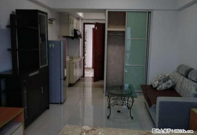 东城 花样年华 40平 全新装修 中高楼层 家私齐全拎包即 - 房屋出租 - 房屋租售 - 东莞分类信息 - 东莞28生活网 dg.28life.com