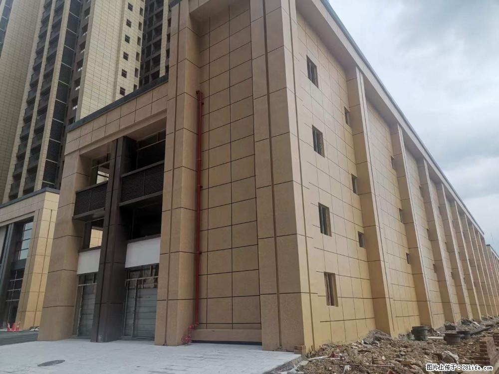 【广西三象建筑安装工程有限公司】外墙涂料工程 - 新手上路 - 东莞生活社区 - 东莞28生活网 dg.28life.com