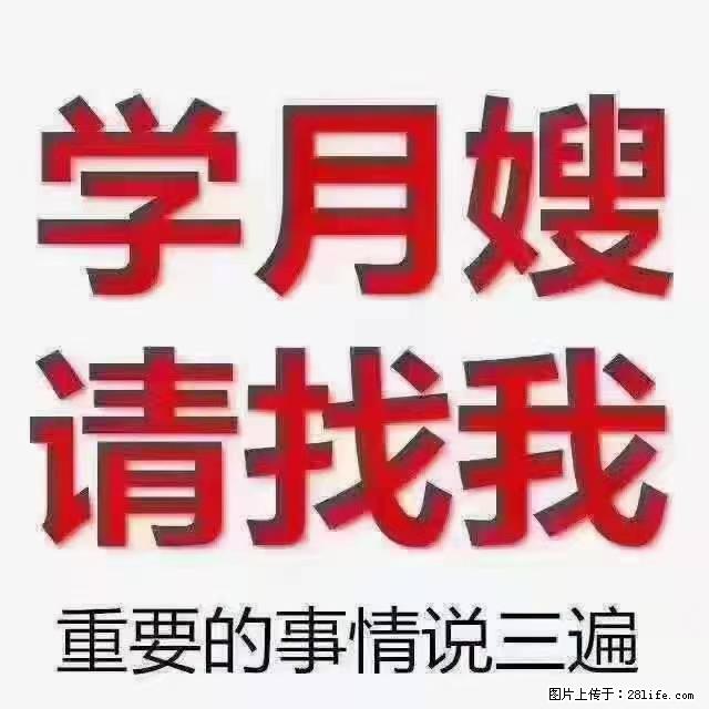【招聘】月嫂，上海徐汇区 - 职场交流 - 东莞生活社区 - 东莞28生活网 dg.28life.com