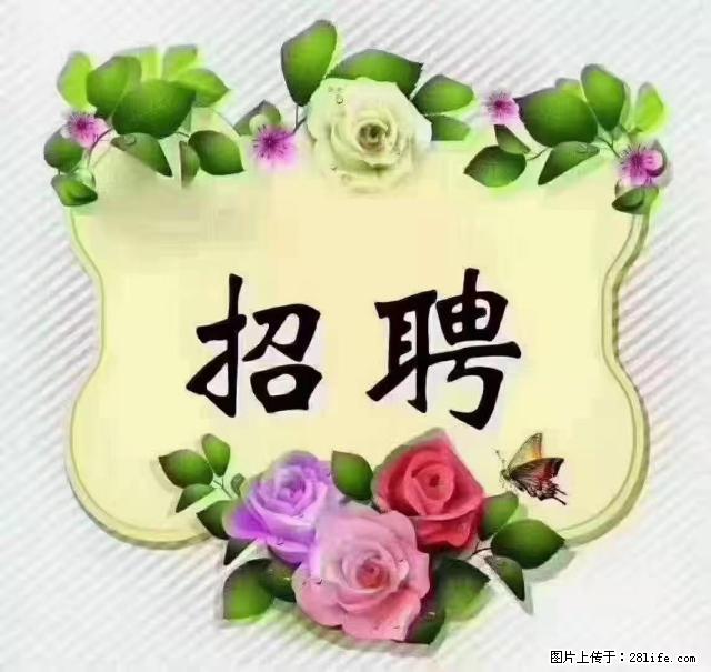 【招聘】住家育儿嫂,上户日期:4月4日,工作地址:上海 黄浦区 - 职场交流 - 东莞生活社区 - 东莞28生活网 dg.28life.com