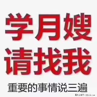 【招聘】月嫂，上海徐汇区 - 东莞28生活网 dg.28life.com