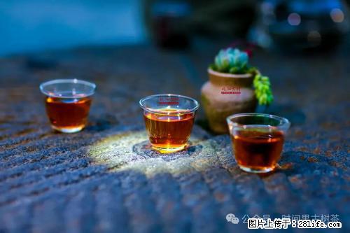 时间果百年古树2025年春红茶 - 购物交流 - 东莞生活社区 - 东莞28生活网 dg.28life.com