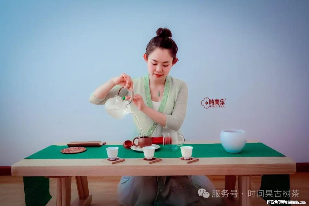 时间果百年古树龙珠普洱生茶 - 购物交流 - 东莞生活社区 - 东莞28生活网 dg.28life.com