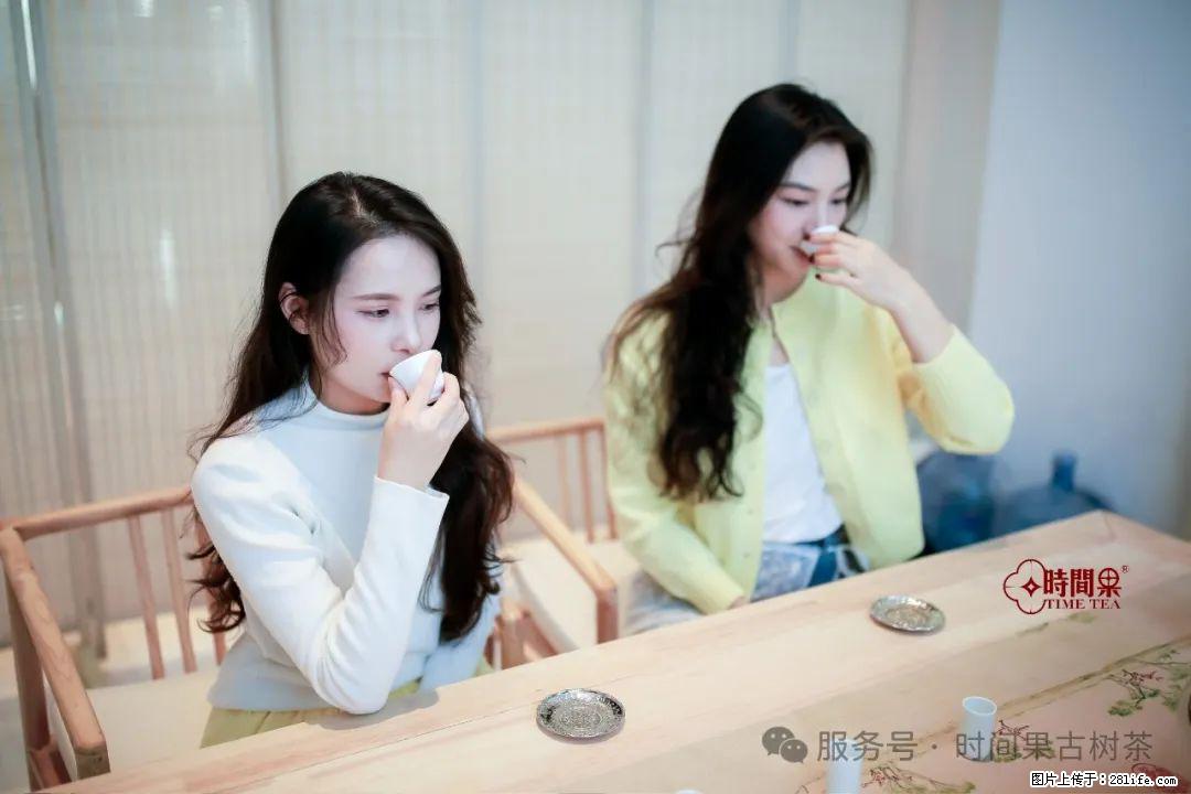 时间果百年古树龙珠普洱生茶 - 购物交流 - 东莞生活社区 - 东莞28生活网 dg.28life.com