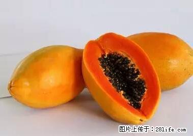 晕车、脚气、牙齿变黄、皮肤粗糙？学会这些三分钟搞定！ - 东莞生活资讯 - 东莞28生活网 dg.28life.com