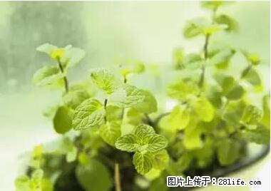 晕车、脚气、牙齿变黄、皮肤粗糙？学会这些三分钟搞定！ - 东莞生活资讯 - 东莞28生活网 dg.28life.com