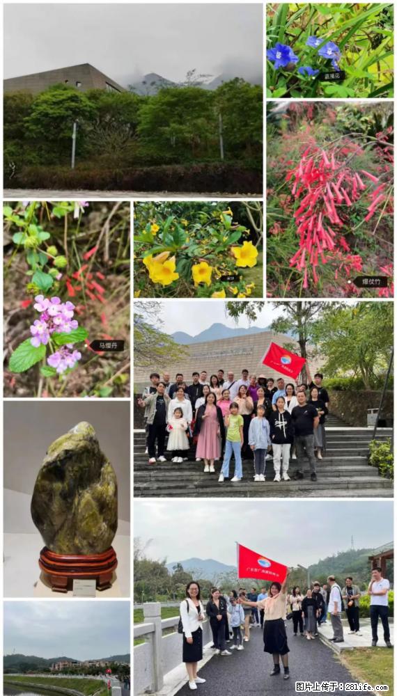 “粤灌文化 美好生活”油茶文化主题活动在广东深圳成功举办 - 东莞生活资讯 - 东莞28生活网 dg.28life.com