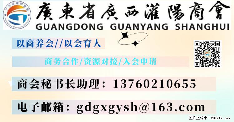 “粤灌文化 美好生活”油茶文化主题活动在广东深圳成功举办 - 东莞生活资讯 - 东莞28生活网 dg.28life.com