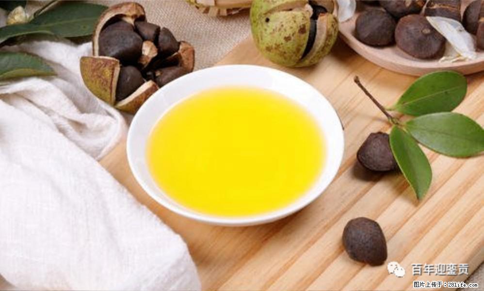 揭秘茶油的5大核心营养成分!被称为人体健康的“守护盾”! - 东莞生活资讯 - 东莞28生活网 dg.28life.com