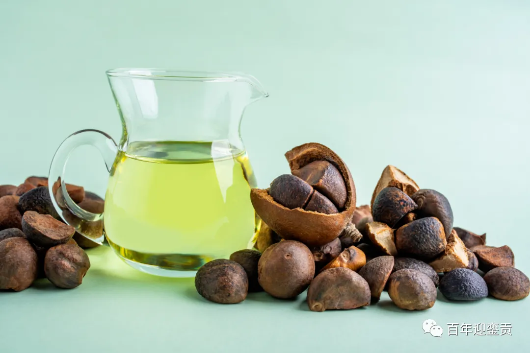 世界没有真相,只有认知,最好的食用油是中国的山茶油! - 东莞生活资讯 - 东莞28生活网 dg.28life.com