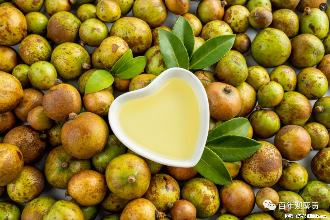 世界没有真相,只有认知,最好的食用油是中国的山茶油! - 东莞生活资讯 - 东莞28生活网 dg.28life.com