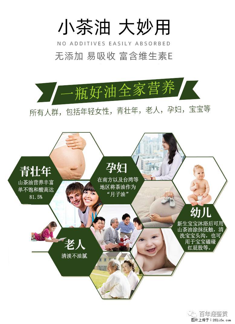 世界没有真相,只有认知,最好的食用油是中国的山茶油! - 东莞生活资讯 - 东莞28生活网 dg.28life.com