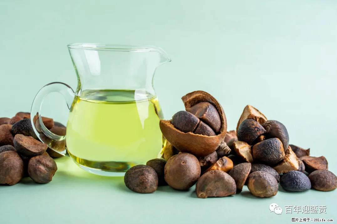 世界没有真相，只有认知，最好的食用油是中国的山茶油！ - 东莞生活资讯 - 东莞28生活网 dg.28life.com