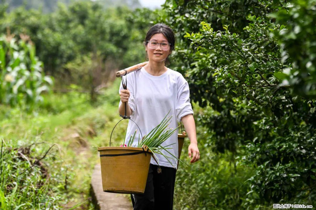 全网追的“扁担女孩”,找了一份暑假工,时薪12元 - 东莞生活资讯 - 东莞28生活网 dg.28life.com