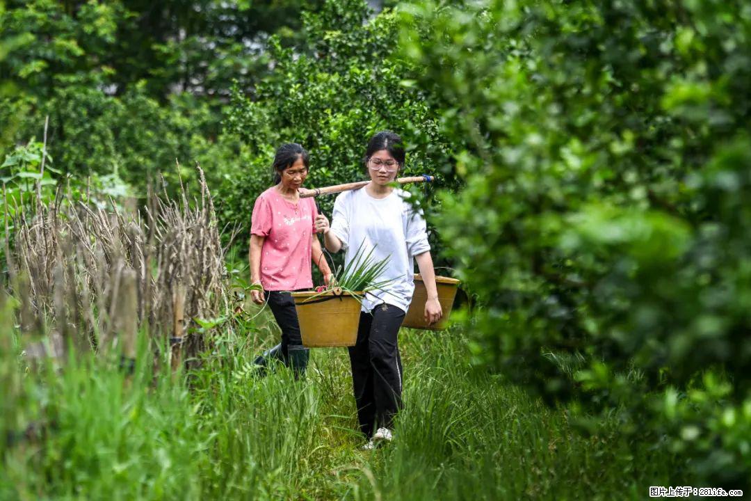 全网追的“扁担女孩”,找了一份暑假工,时薪12元 - 东莞生活资讯 - 东莞28生活网 dg.28life.com