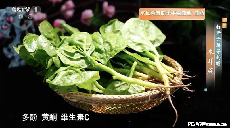 比牛奶补钙还厉害!凉血解毒、稳血糖...这菜冬天必吃,很多人却当草 - 东莞生活资讯 - 东莞28生活网 dg.28life.com