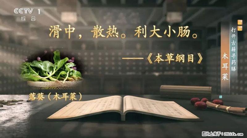 比牛奶补钙还厉害!凉血解毒、稳血糖...这菜冬天必吃,很多人却当草 - 东莞生活资讯 - 东莞28生活网 dg.28life.com