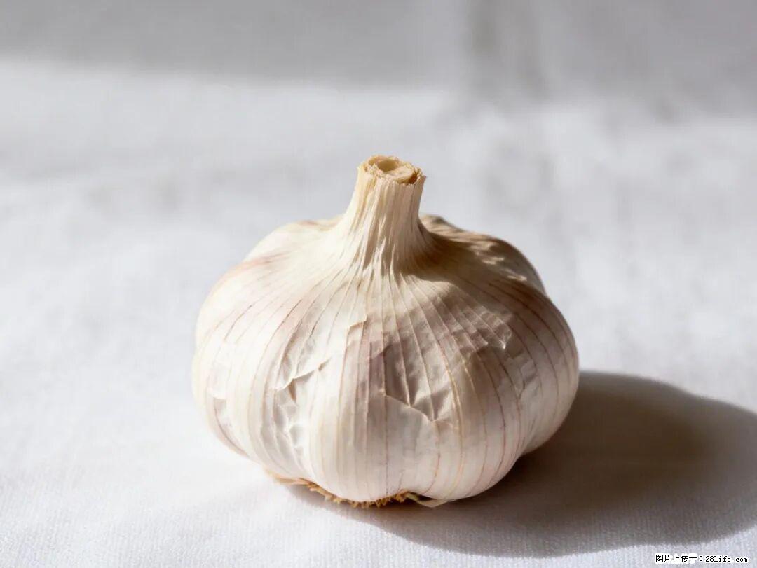 关于大蒜，除了“天然抗生素”，这4个谣言更该警惕! - 东莞生活资讯 - 东莞28生活网 dg.28life.com