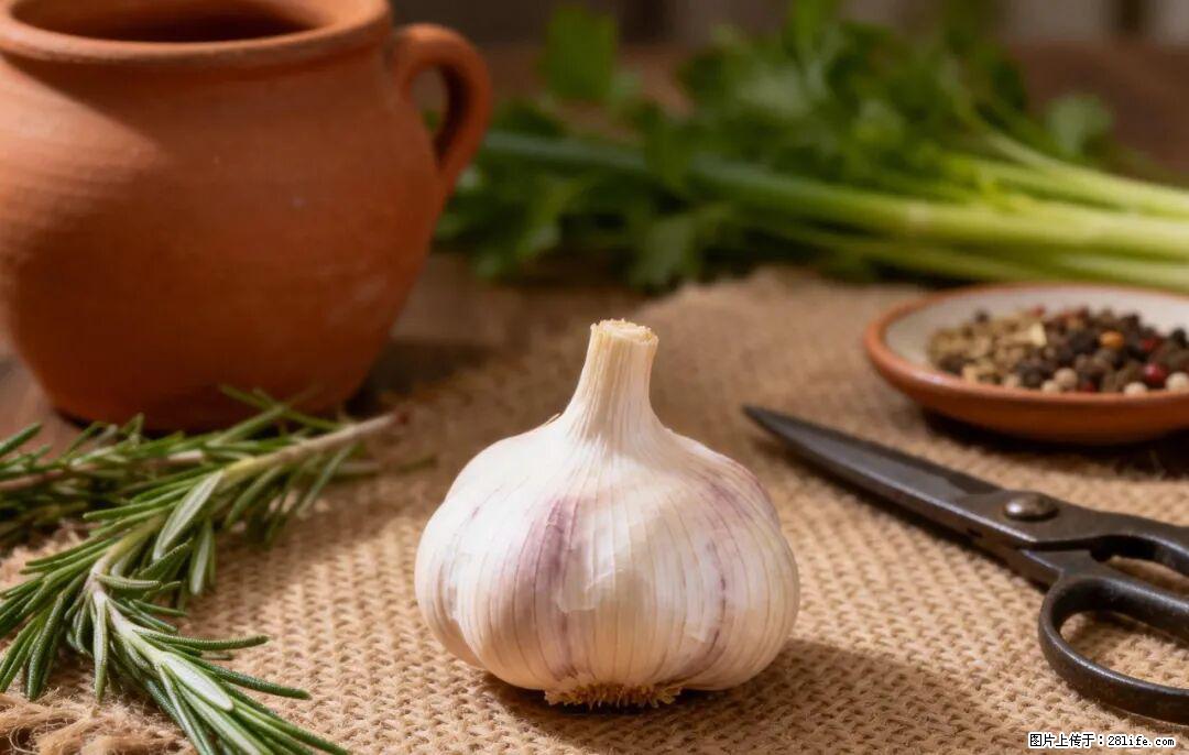 关于大蒜，除了“天然抗生素”，这4个谣言更该警惕! - 东莞生活资讯 - 东莞28生活网 dg.28life.com