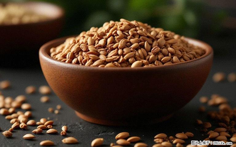 这三苦是三高“克星”，心血管干净不易堵！每天吃一点，指标慢慢降下来~ - 东莞生活资讯 - 东莞28生活网 dg.28life.com