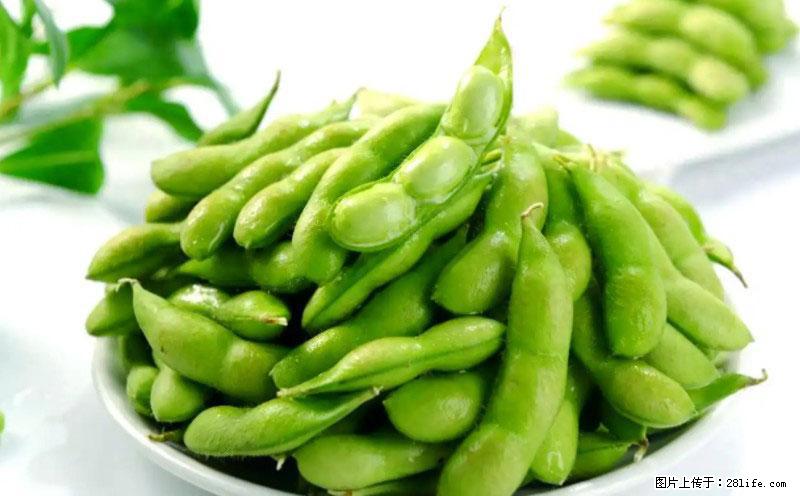 这些蔬菜是“天然钙片”，这6种被医生重点推荐 - 东莞生活资讯 - 东莞28生活网 dg.28life.com