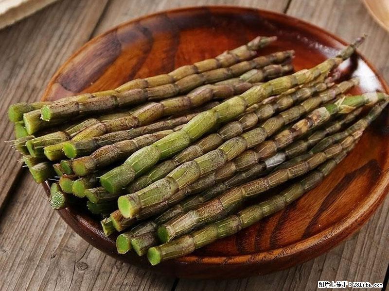 铁皮石斛的作用与功能主治 - 东莞生活资讯 - 东莞28生活网 dg.28life.com